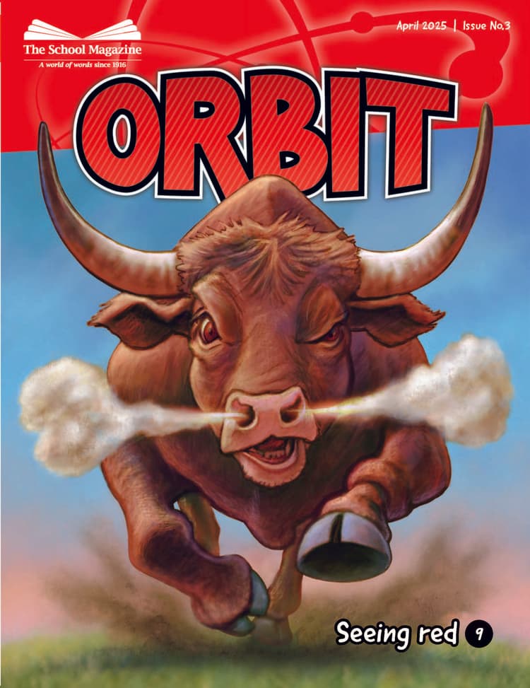 Orbit 3 2025 cover - a bull charging towards the viewer