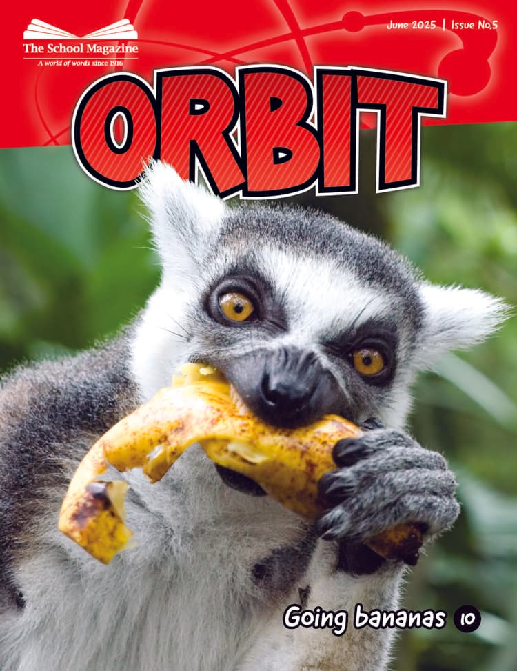Image of the cover of Orbit, Issue 5 2025