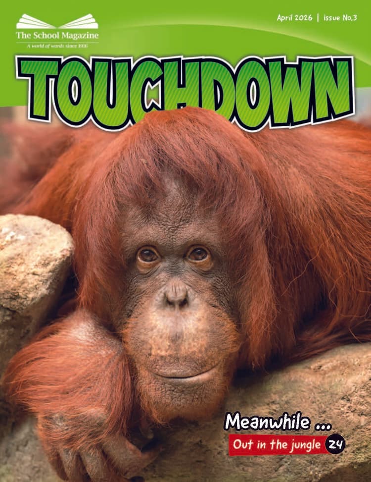Image of cover of Touchdown 3 2026