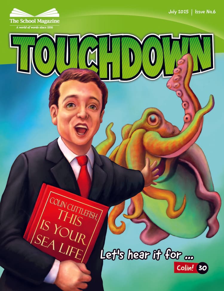 Cover image of Touchdown 6 2025